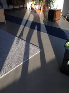 shadow-self portrait 012